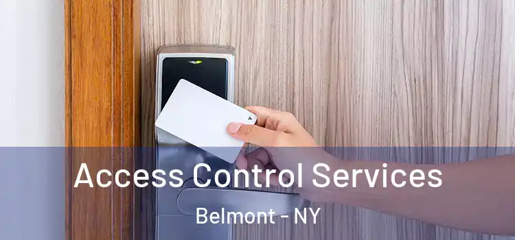 Access Control Services Belmont - NY