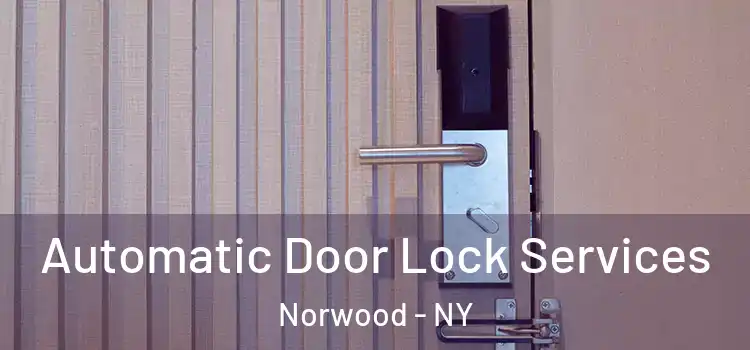 Automatic Door Lock Services Norwood - NY