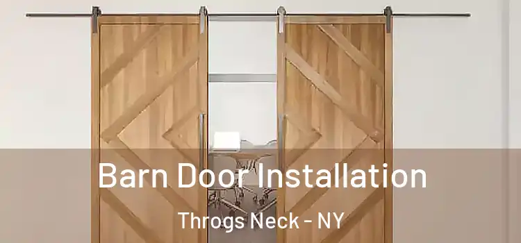 Barn Door Installation Throgs Neck - NY