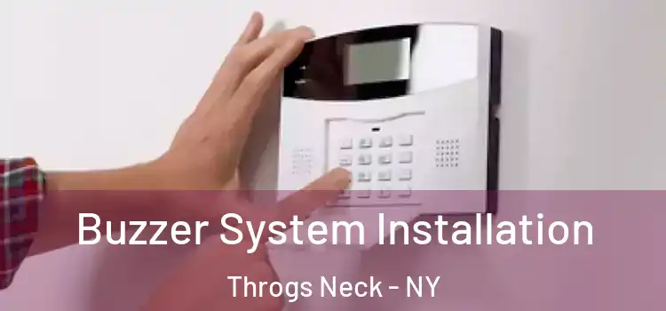  Buzzer System Installation Throgs Neck - NY