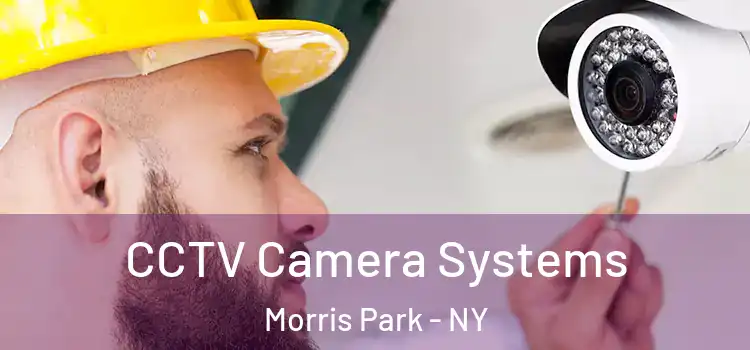 CCTV Camera Systems Morris Park - NY