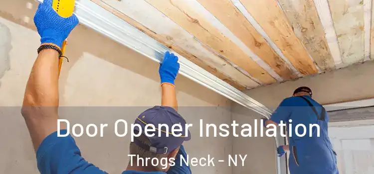 Door Opener Installation Throgs Neck - NY