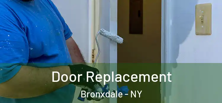 Door Replacement Bronxdale - NY