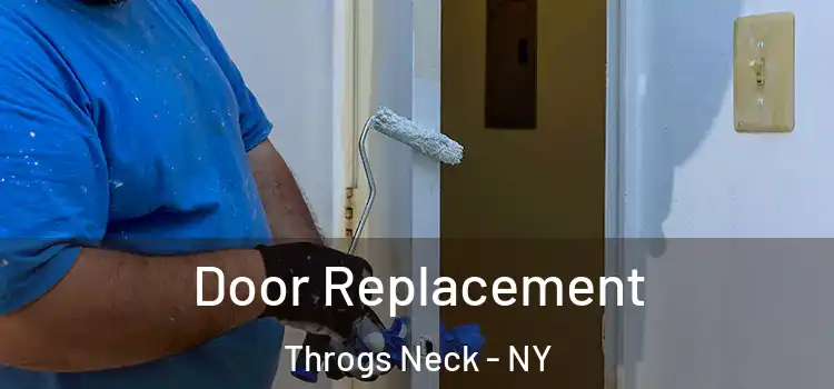  Door Replacement Throgs Neck - NY
