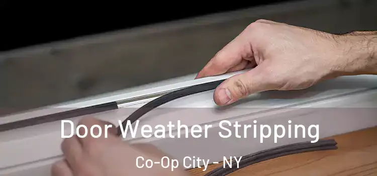  Door Weather Stripping Co-Op City - NY