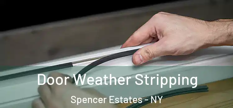 Door Weather Stripping Spencer Estates - NY