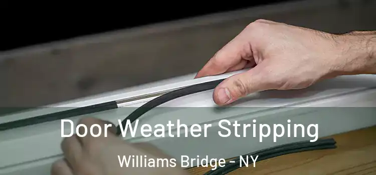 Door Weather Stripping Williams Bridge - NY