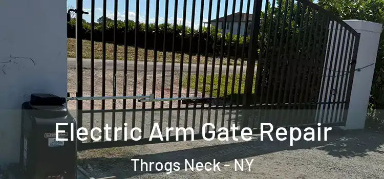 Electric Arm Gate Repair Throgs Neck - NY