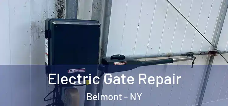  Electric Gate Repair Belmont - NY