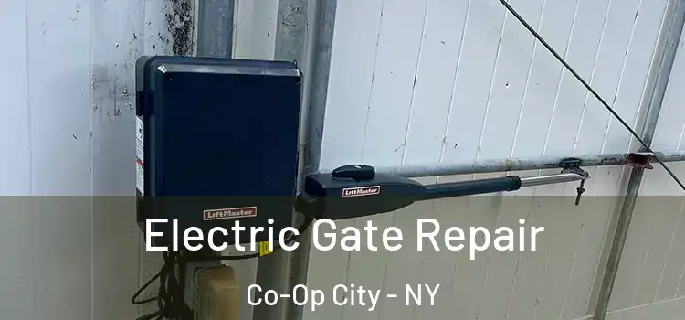  Electric Gate Repair Co-Op City - NY