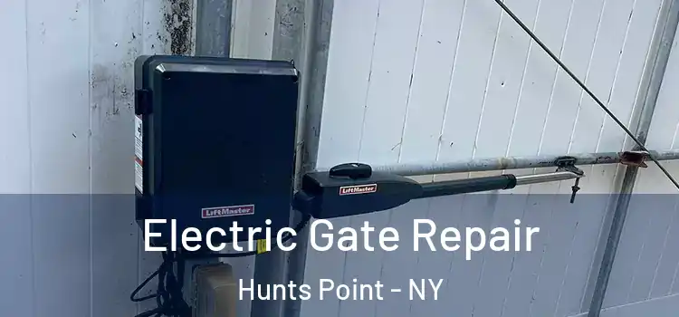 Electric Gate Repair Hunts Point - NY