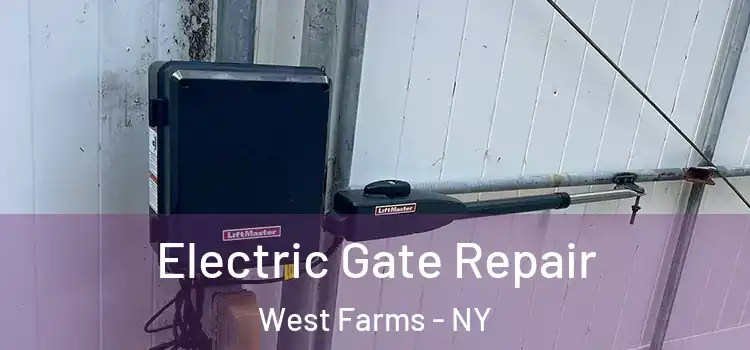 Electric Gate Repair West Farms - NY