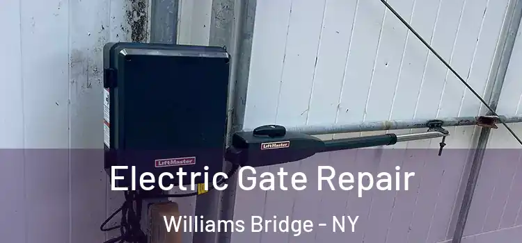  Electric Gate Repair Williams Bridge - NY
