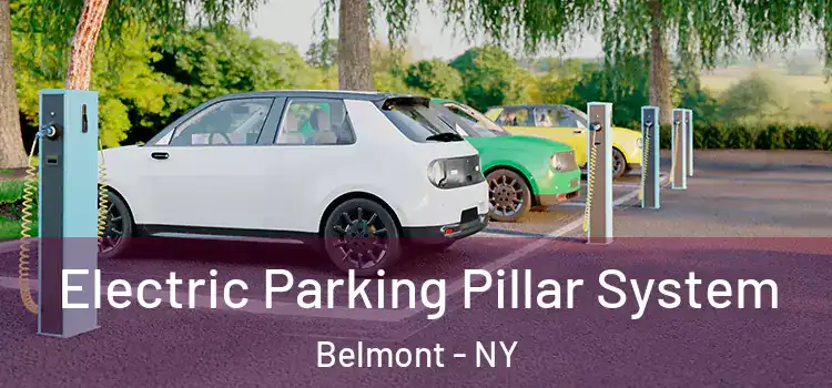 Electric Parking Pillar System Belmont - NY