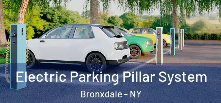  Electric Parking Pillar System Bronxdale - NY