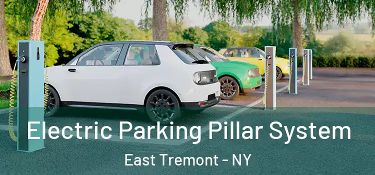 Electric Parking Pillar System East Tremont - NY