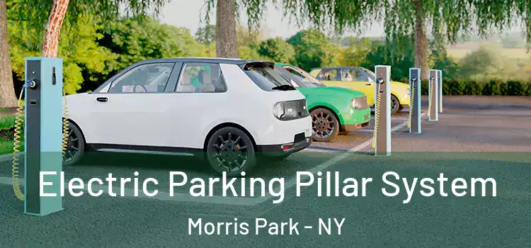 Electric Parking Pillar System Morris Park - NY