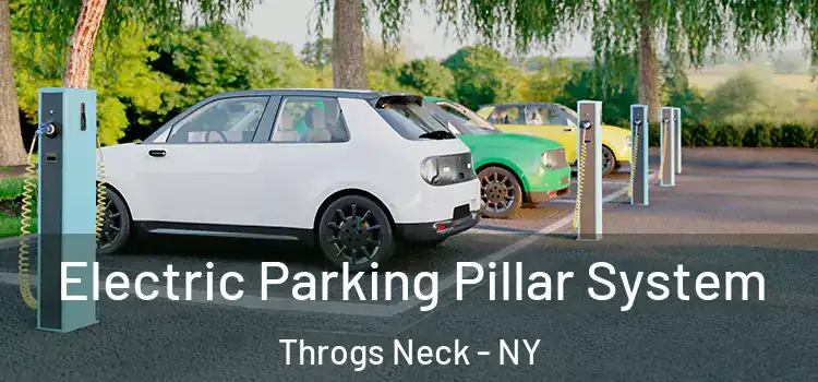 Electric Parking Pillar System Throgs Neck - NY