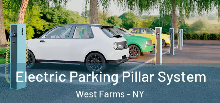 Electric Parking Pillar System West Farms - NY