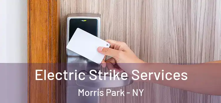  Electric Strike Services Morris Park - NY