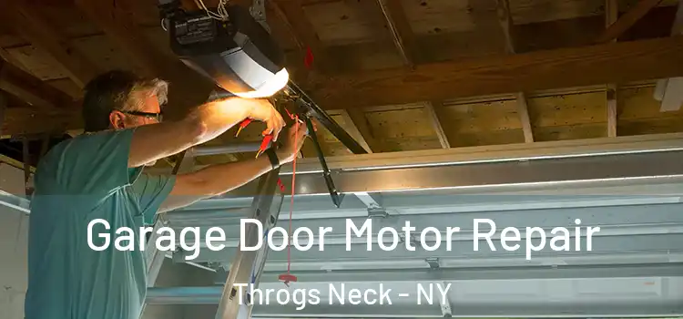  Garage Door Motor Repair Throgs Neck - NY