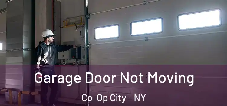  Garage Door Not Moving Co-Op City - NY
