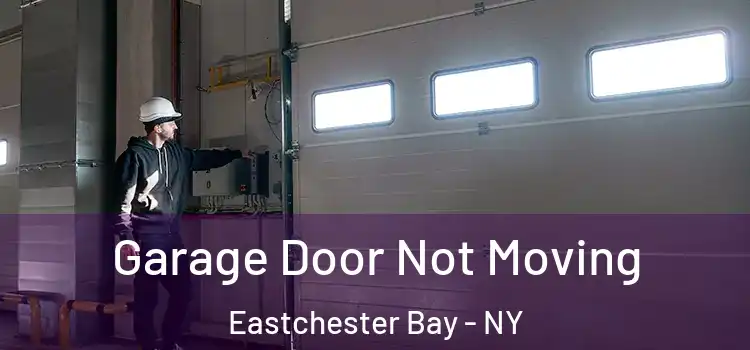  Garage Door Not Moving Eastchester Bay - NY