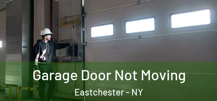  Garage Door Not Moving Eastchester - NY