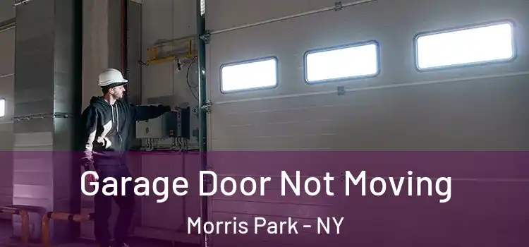  Garage Door Not Moving Morris Park - NY