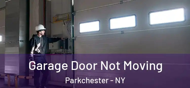  Garage Door Not Moving Parkchester - NY