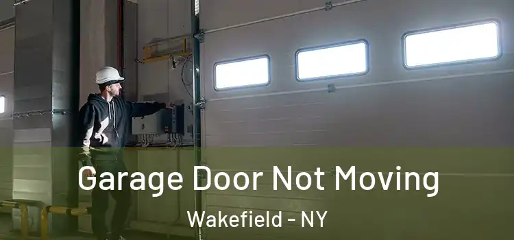  Garage Door Not Moving Wakefield - NY