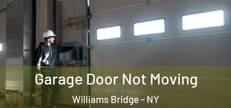  Garage Door Not Moving Williams Bridge - NY