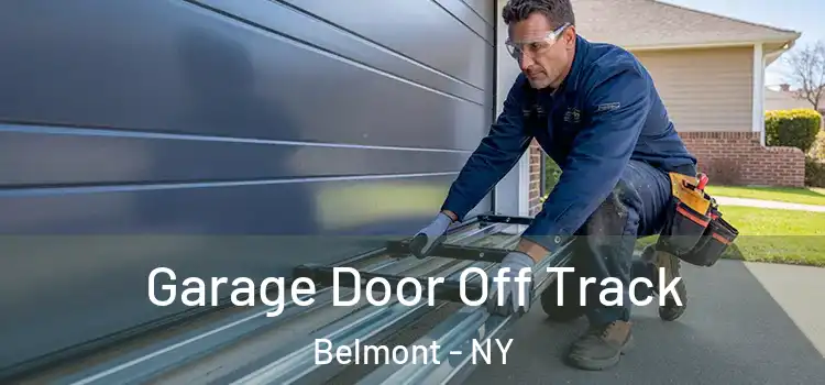  Garage Door Off Track Belmont - NY