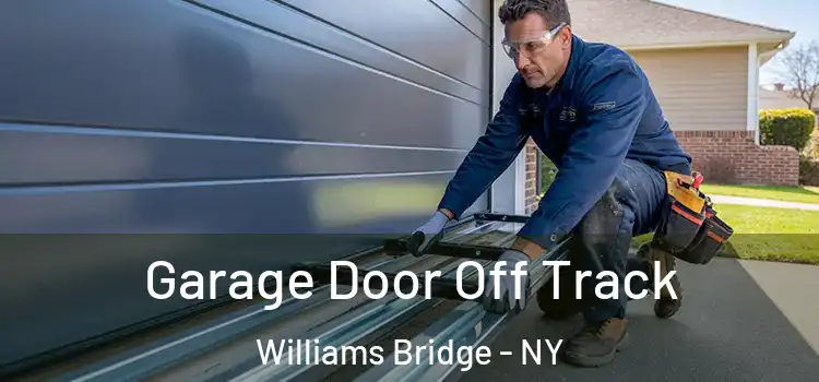  Garage Door Off Track Williams Bridge - NY