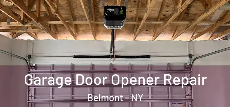  Garage Door Opener Repair Belmont - NY