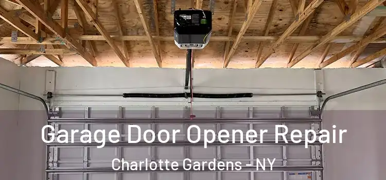  Garage Door Opener Repair Charlotte Gardens - NY