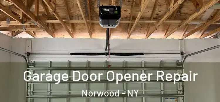  Garage Door Opener Repair Norwood - NY