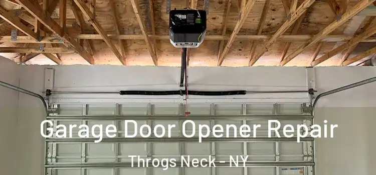  Garage Door Opener Repair Throgs Neck - NY