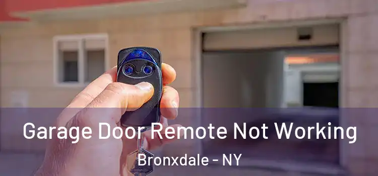  Garage Door Remote Not Working Bronxdale - NY