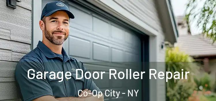  Garage Door Roller Repair Co-Op City - NY