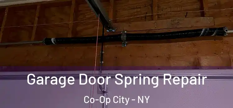  Garage Door Spring Repair Co-Op City - NY