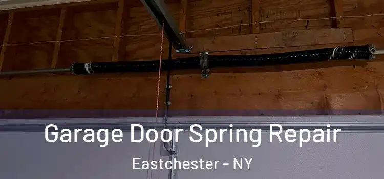  Garage Door Spring Repair Eastchester - NY
