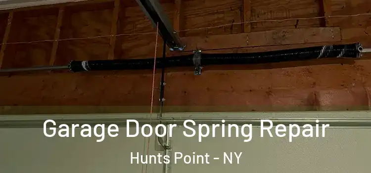  Garage Door Spring Repair Hunts Point - NY