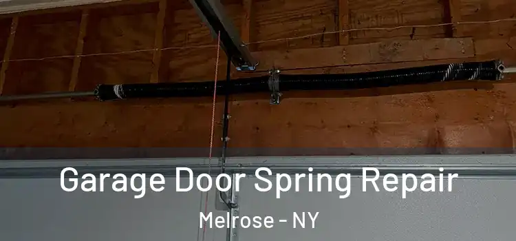  Garage Door Spring Repair Melrose - NY
