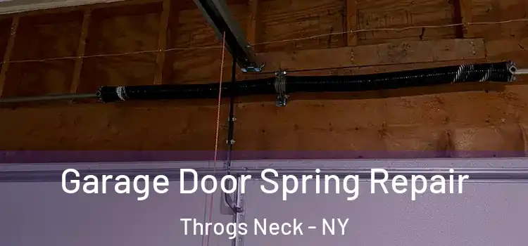  Garage Door Spring Repair Throgs Neck - NY