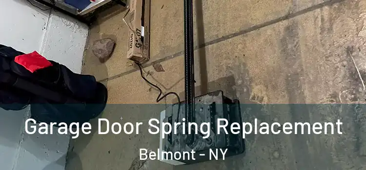  Garage Door Spring Replacement Belmont - NY