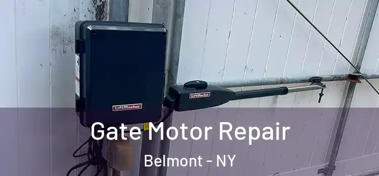 Gate Motor Repair Belmont - NY