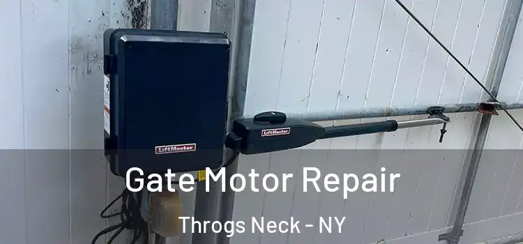  Gate Motor Repair Throgs Neck - NY