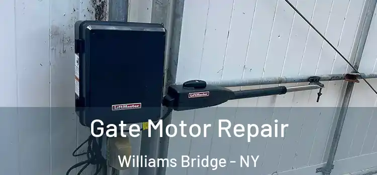 Gate Motor Repair Williams Bridge - NY
