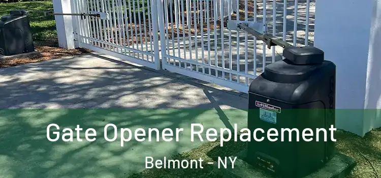  Gate Opener Replacement Belmont - NY